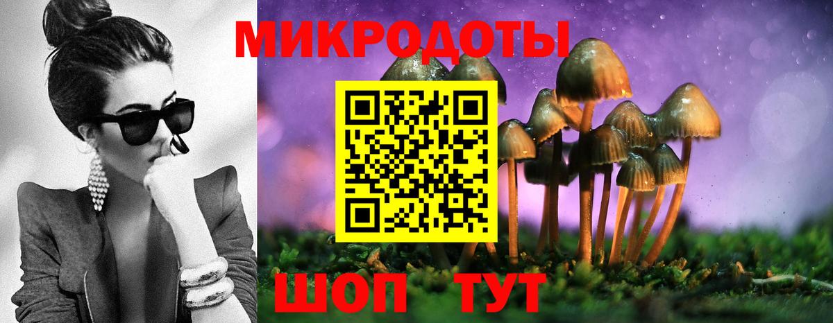 Псилоцибиновые грибы GOLDEN TEACHER  Вход с VPN  купить наркотик  Гулькевичи 