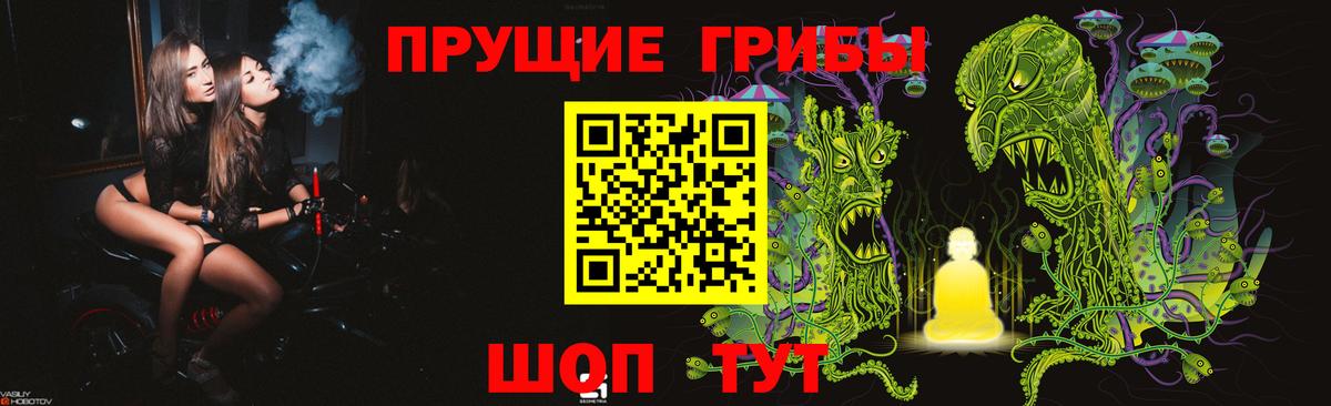 Псилоцибиновые грибы Psilocybine cubensis Гулькевичи